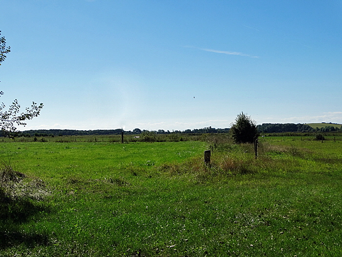 aeroe grasten nor bild 01