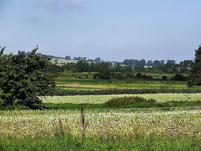 aeroe grasten nor bild 02