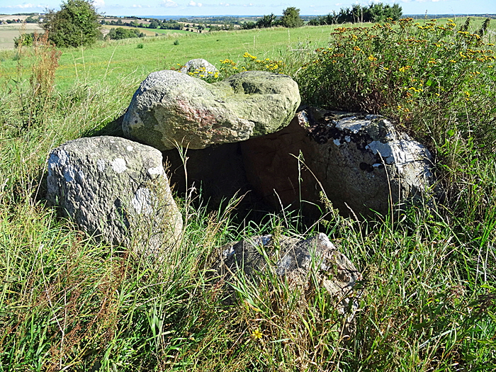 aeroe lindsbjerg ganggrab bild 02