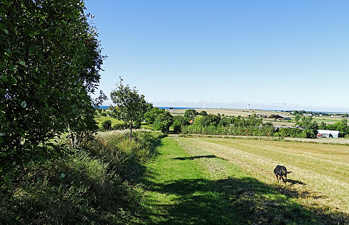 aeroe lindsbjerg grab 01