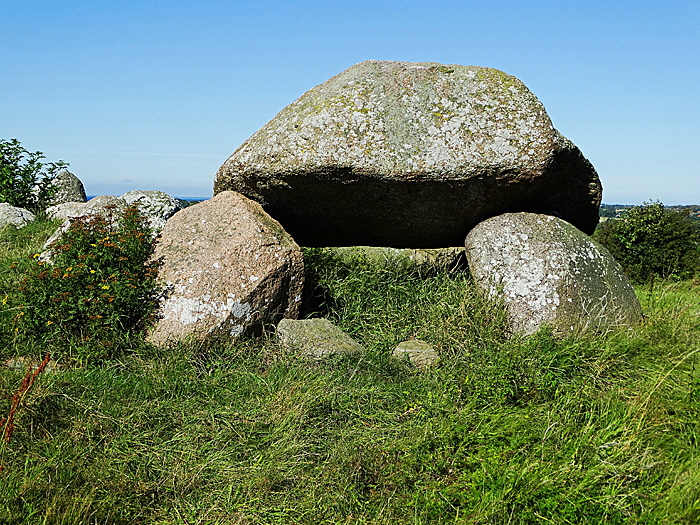 aeroe lindsbjerg jaettestue bild 01