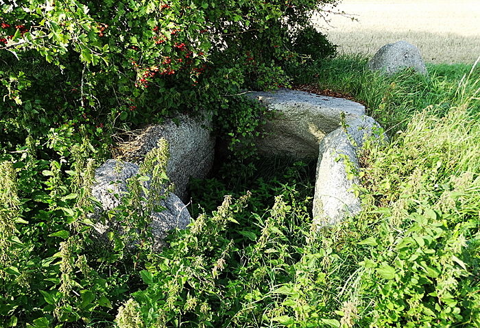 aeroe store rise dolmen bild 04