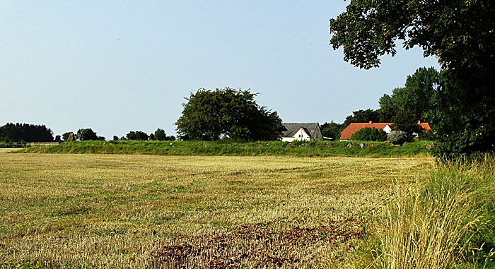 aeroe store rise dolmen bild 06